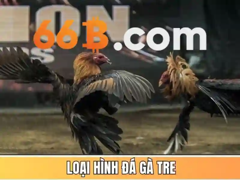 đăng nhập 66b: trải nghiệm và chiến lược thương hiệu