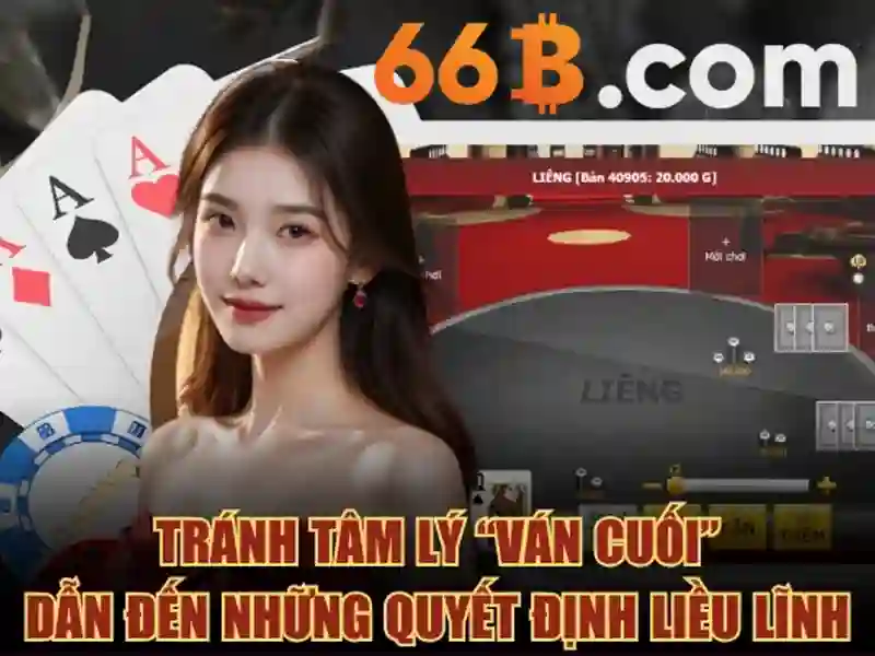 tous les jours 66b cmt8: Tổng quan và trải nghiệm đỉnh cao